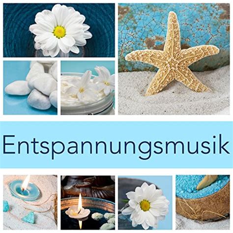 entspannungs musik|Vogelstimmen